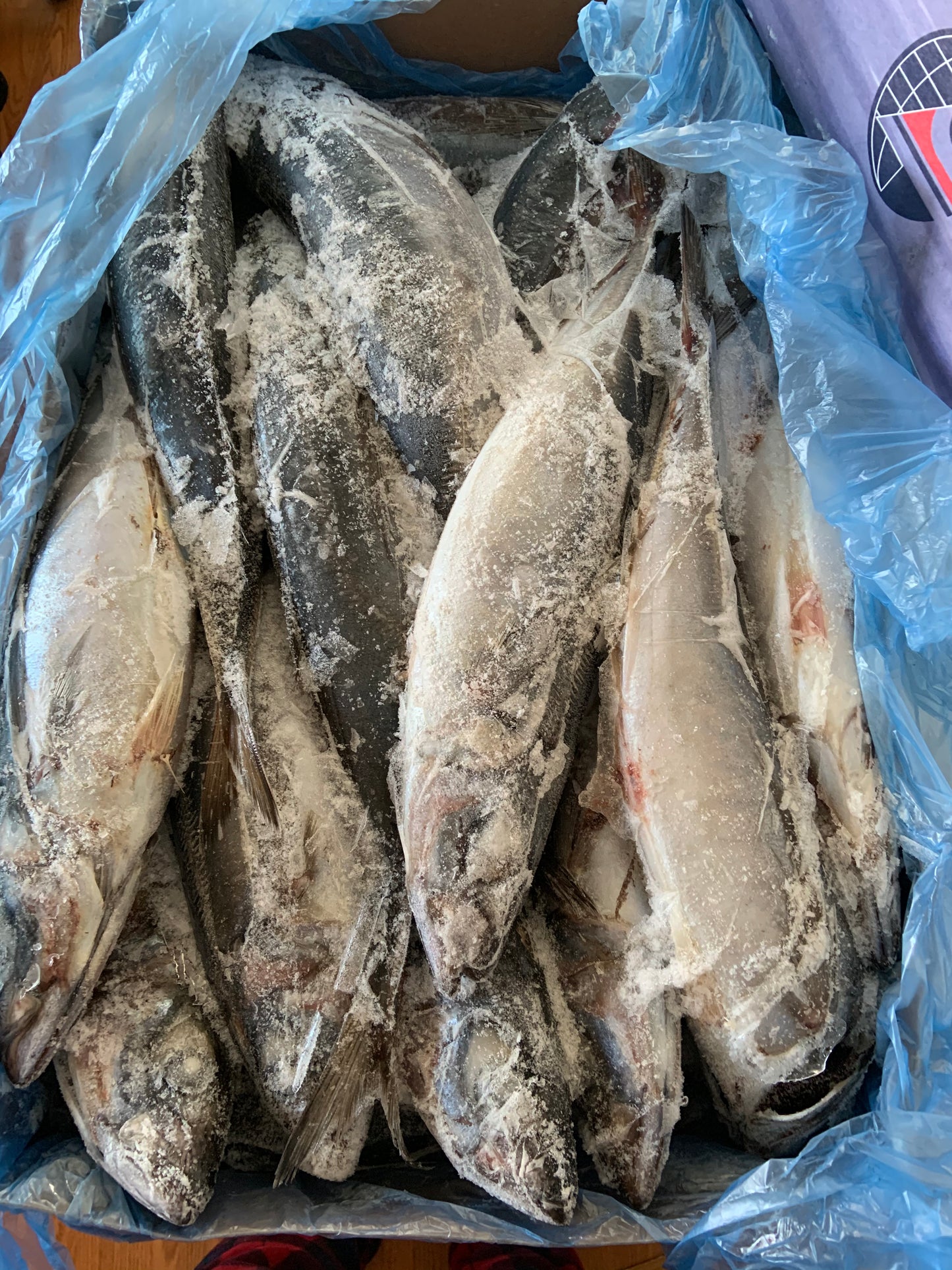 Jack Mackerel (New Zealand) Maquereau (Local Delivery Only)